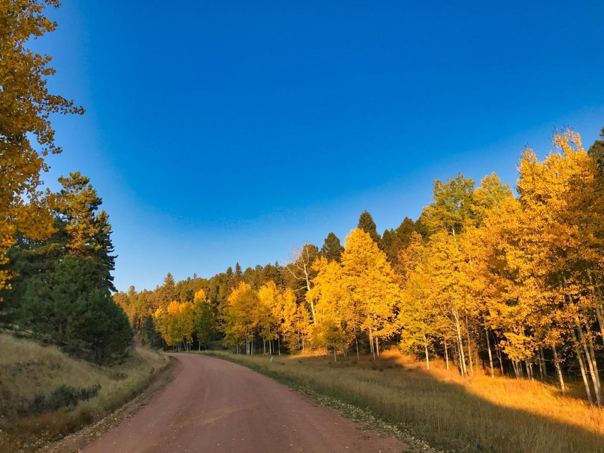 Pine Ridge - Memories Are Made Here! Florissant Exteriér fotografie
